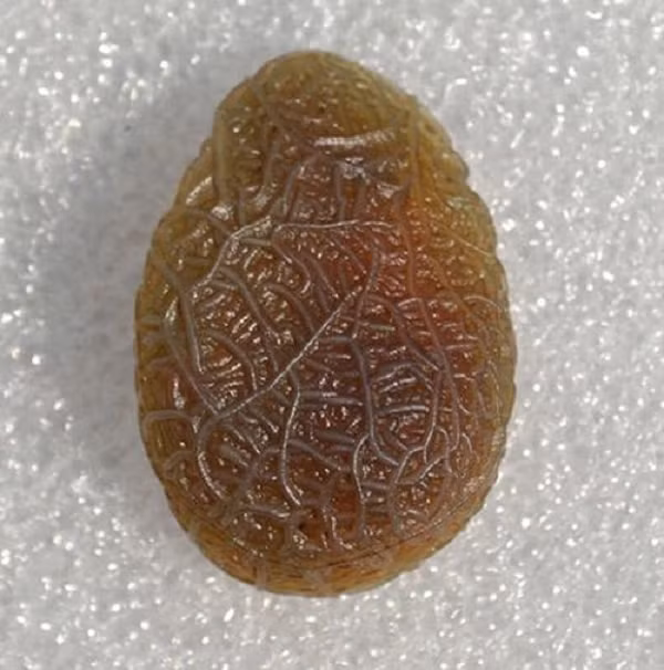 Trong quá trình đó, có vô số bong bóng được tạo ra, khi gặp lạnh, các bọt khí bị bịt kín đã tạo thành nhiều lỗ nhỏ trên bề mặt viên đá nên chúng mới có hình dáng độc đáo như thế.