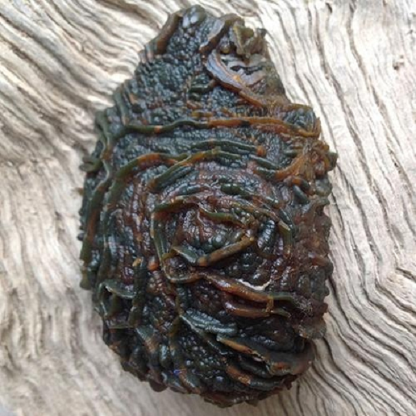 Đá mã não Gobi Montenegro có nhiều màu sắc nâu xanh lẫn lộn và vô số vân ngang dọc ngoằn ngoèo trên bề mặt, nhiều người khi xem sẽ không khỏi lầm tưởng về một ổ sinh vật thân mềm kì dị.