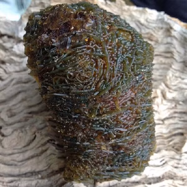 Đá mã não Gobi được hình thành từ khoảng hàng triệu năm trước khi dung nham dưới lòng đất phun ra một lượng lớn do sự thay đổi của vỏ Trái đất.