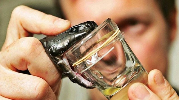 Theo Tổ chức Y tế Thế giới (WHO), có khoảng 5,4 triệu người bị rắn cắn mỗi năm. 81.000 đến 138.000 người chết do rắn cắn trong khi nhiều người khác bị cắt chi và các khuyết tật vĩnh viễn khác do độc tố.