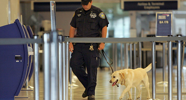 Các sân bay ở Các Tiểu vương quốc Ả Rập Thống nhất là một trong những sân bay đầu tiên trên thế giới thử nghiệm phương pháp dùng chó để phát hiện người mắc COVID-19 vào năm 2020.