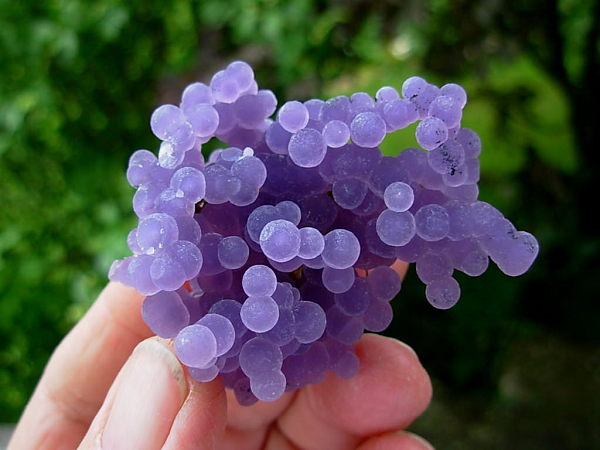 Màu sắc có thể từ tím đậm đến nhạt hoặc trắng. Đôi khi người ta tìm thấy các mẫu vật màu xanh lá cây. Màu tối hơn được ưa chuộng hơn và có giá cao hơn.