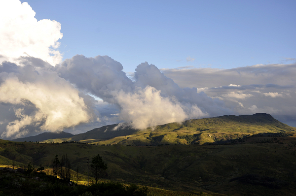 Sau khi xuất hiện lại, bộ ba này kể rằng họ đã lang thang vô vọng nhưng không cảm thấy mệt mỏi, khát nước hay đói cồn cào trong suốt 4 ngày bị “mất tích”.