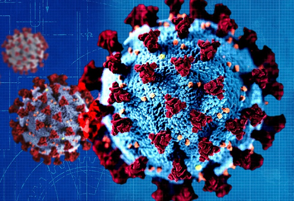 Maryland là bang có số ca nhiễm biến thể R.1 cao nhất, với 399 ca mắc bệnh được ghi nhận.