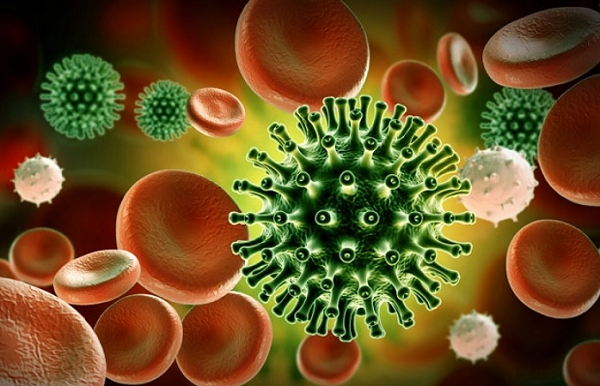 Biến thể R.1 được phát hiện lần đầu tiên ở Nhật Bản. Số liệu của Cơ quan Y tế bang Kentucky, Mỹ cho biết 45 cư dân và nhân viên y tế đã nhiễm biến thể R.1 sau khi một nhân viên chưa tiêm chủng mắc bệnh vào tháng 3.