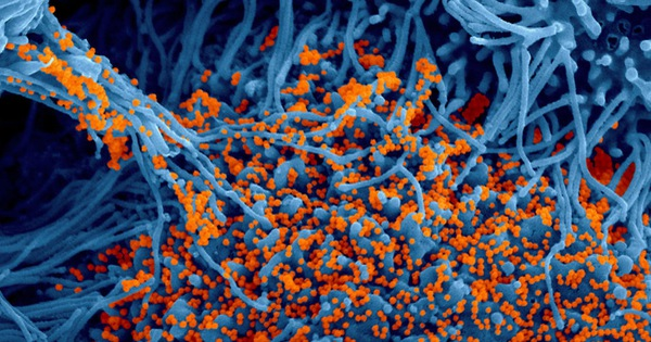 Cũng chưa có dấu hiệu nào cho thấy R.1 có thể "vượt mặt" được chủng Delta vào thời điểm hiện tại về khả năng lây lan.