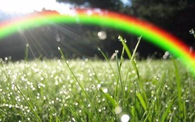 Thấy cầu vồng sau mưa. Nếu như bạn vô tình nhìn thấy hình ảnh cầu vồng sau cơn mưa thì đây đươc coi là dấu hiệu vô cùng mạnh mẽ cho thấy rằng gia đình bạn đang gặp những điều may về vấn đề tài chính, tiền bạc bạn sẽ vô cùng dư dả giàu có trong thời gian này.