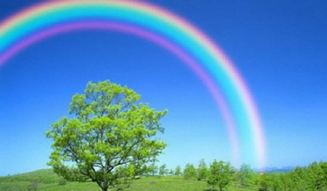 Cầu vồng sau mưa cũng chính là một biểu tượng may mắn vì nó báo hiệu sự thịnh vượng và tài vận tốt đẹp. Nó mang tới năng lượng dương, nó mang tới cho chủ nhà nhiều tài lộc, giúp bạn thăng quan tiến chức làm ăn tốt tiền bạc chảy vào nhà tiêu xài thoải mái. * Thông tin chỉ mang tính tham khảo, chiêm nghiệm.
