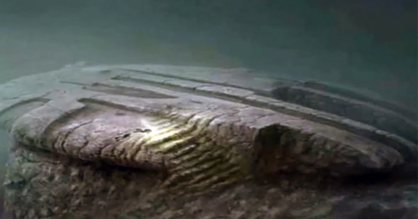 Ocean X sau đó đã phát hiện thấy một vật thể lớn hình tròn hiện lên màn hình của thiết bị. Vật thể lạ được xác định có chiều dài khoảng 60m và dày 4m.