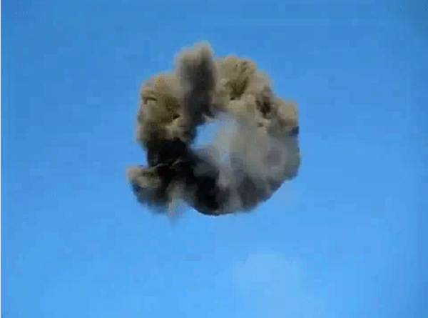 Hiện tượng này có thể xảy ra một cách tình cờ, hoặc ai đó đã cố tình tạo ra hình dạng đó để gây sự chú ý. Những vòng tròn màu đen từng được nhìn thấy ở nhiều nơi trên thế giới và đây có lẽ là lời giải thích thuyết phục nhất cho đến giờ.