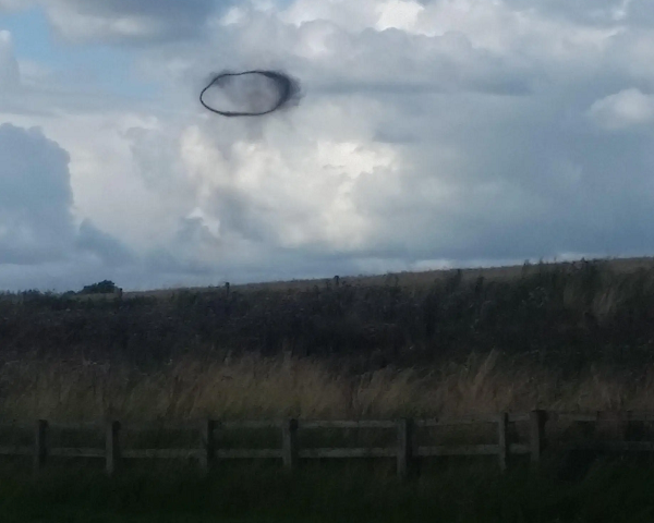 Vòng tròn màu đen bí ẩn có đường kính khoảng 100 m và lơ lửng ở độ cao từ 200 đến 1.000 m. "Nó có thể là một vòng khói khổng lồ, sinh ra sau khi một vật gì đó bị đốt cháy", chuyên gia vật lý học Andrey Solodovnik tại đại học Bắc Kazakhstan cho biết.