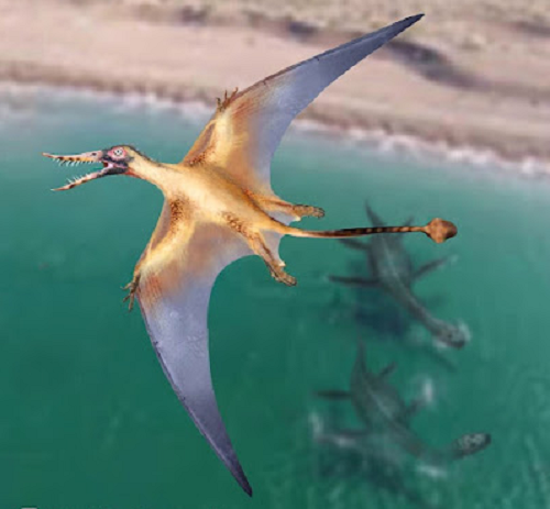 Đó là một loài pterosaur (thằn lằn có cánh, dực long) chưa từng biết trên thế giới, sống vào kỷ Jura. Riêng những mảnh hóa thạch rời rạc được khai quật ở Atacama, Bắc Chile có niên đại 160 triệu năm.