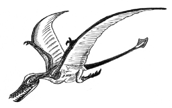 Làm cách nào hóa thạch của một rhamphorhynchinae lại được tìm thấy tại địa hình sa mạc khô cằn bậc nhất trên Trái Đất vẫn còn là một ẩn số chờ giải mã.