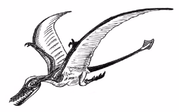 Làm cách nào hóa thạch của một rhamphorhynchinae lại được tìm thấy tại địa hình sa mạc khô cằn bậc nhất trên Trái Đất vẫn còn là một ẩn số chờ giải mã.