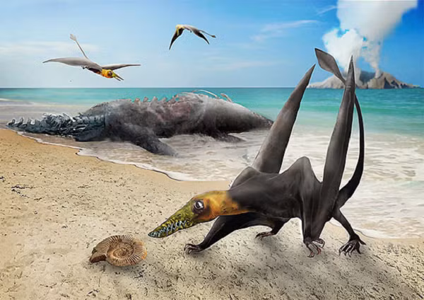 Vừa qua, các nhà khoa học đã đưa ra công bố chính thức trên tạp chí Acta Palaeontologica Polonica rằng hóa thạch của con “thằn lằn có cánh” khai quật tại sa mạc Atacama – Chile được xác định thuộc loài pterosaurs, hay còn gọi là "Dực long".
