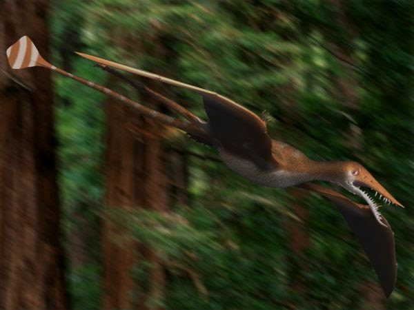 Con rồng bay được công bố mới đây có thể đã bị trôi dạt từ siêu lục địa Laurasia ở phía Bắc tới Gondwana và men theo đường bờ biển để không cách quá xa khỏi nguồn thức ăn của nó.