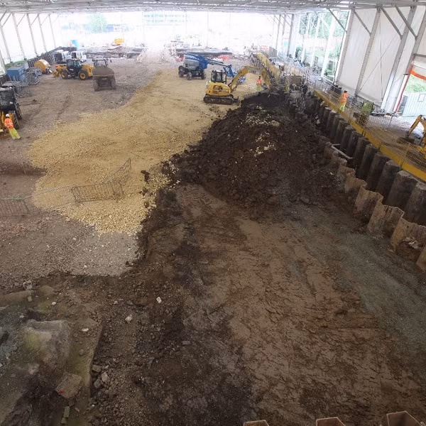 Qua phân tích cho thấy rất nhiều người gặp vấn đề về loãng xương, khá nhiều trường hợp gãy mũi bất thường và nhiều trường hợp mất vì bệnh truyền nhiễm như lao và giang mai.