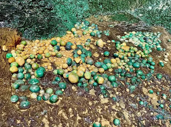 Nhóm nghiên cứu đã thu thập các mẫu đất, đá để phân tích tìm kiếm thêm về sự sống dưới đáy giếng sâu. Trên thực tế, Giếng Barhout là một hố sụt bình thường.