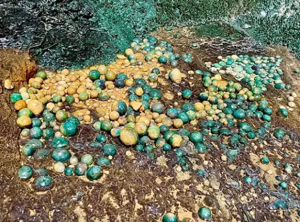 Nhóm nghiên cứu đã thu thập các mẫu đất, đá để phân tích tìm kiếm thêm về sự sống dưới đáy giếng sâu. Trên thực tế, Giếng Barhout là một hố sụt bình thường.