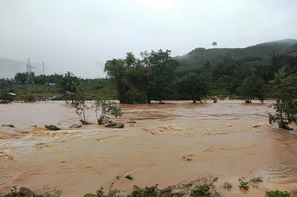 Dữ liệu được thu thập từ năm 1900 đến năm 2019 cho thấy sự gia tăng từ 39 sự cố vào năm 1960 lên 396 vào năm 2019.