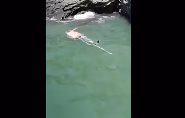 Anh Phạm Văn Dương, trú tại Cát Bà (Hải Phòng) cùng một nhóm bạn đi câu tại vùng biển Cát Hải thì bắt gặp xác con cá heo hồng nổi trên mặt nước.