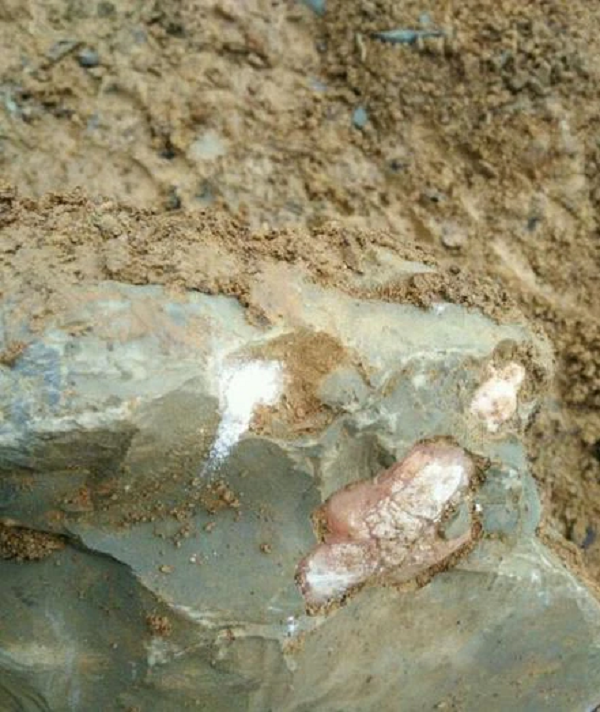 Sau khi tảng đá bị vỡ và lộ ra lớp màu hồng kỳ lạ bên trong, anh chàng liền chụp lại vài bức ảnh của tảng đá rồi đăng câu chuyện của mình lên mạng nhờ người giải đáp băn khoăn.