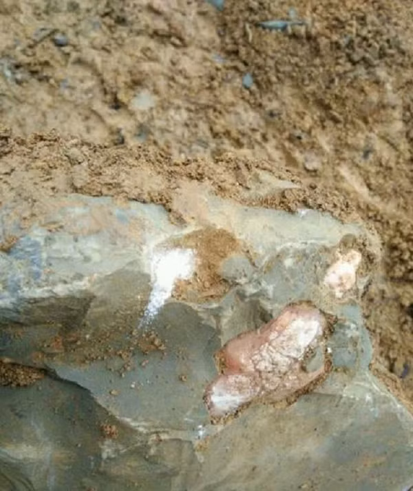 Sau khi tảng đá bị vỡ và lộ ra lớp màu hồng kỳ lạ bên trong, anh chàng liền chụp lại vài bức ảnh của tảng đá rồi đăng câu chuyện của mình lên mạng nhờ người giải đáp băn khoăn.