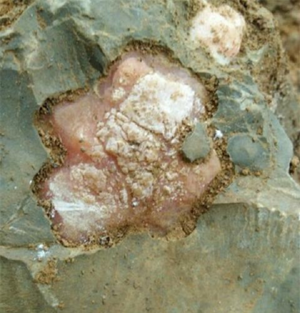 Đối với "bí mật" của tảng đá, ai ai cũng bị thu hút, mọi người đều tham gia bàn tán sôi nổi nhưng không ai biết nó là loại đá gì. Có người thì cho rằng đó là đá thạch anh hồng.