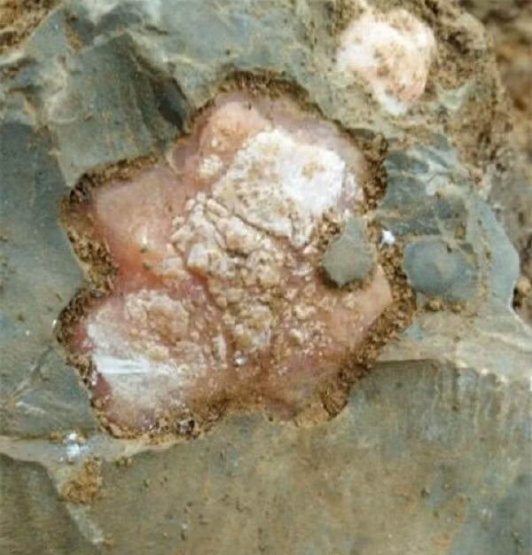 Đối với "bí mật" của tảng đá, ai ai cũng bị thu hút, mọi người đều tham gia bàn tán sôi nổi nhưng không ai biết nó là loại đá gì. Có người thì cho rằng đó là đá thạch anh hồng.