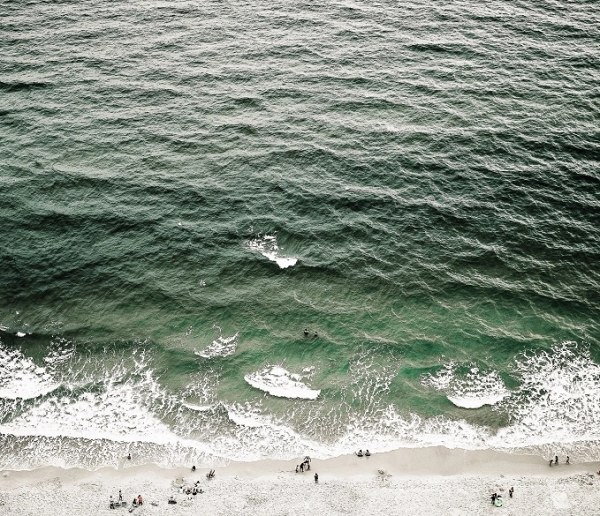 Theo dõi hành vi đó và cách các loài chim di chuyển khi có sóng thần có thể giúp nhóm phát triển một hệ thống cảnh báo sớm thiên tai, Jiguet cho biết thêm.