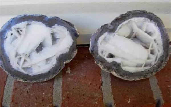 Sau khi đem về nhà, cô đã dùng máy để cắt hòn đá ra xem bên trong có đá quý hay không. Thứ được tìm thấy quả nhiên đã không làm cô gái thất vọng. Bởi bên trong viên đá ấy có thứ gì đó nhìn rất đẹp.