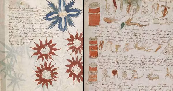 Bản thảo Voynich được coi là "bản thảo bí ẩn nhất thế giới". Tên bản thảo được đặt theo nhà buôn sách cổ Wilfrid M. Voynich, người đã mua nó năm 1912. Bản thảo dày 240 trang, viết bằng một ngôn ngữ bí ẩn cùng những biểu đồ và hình thực vật kỳ lạ.