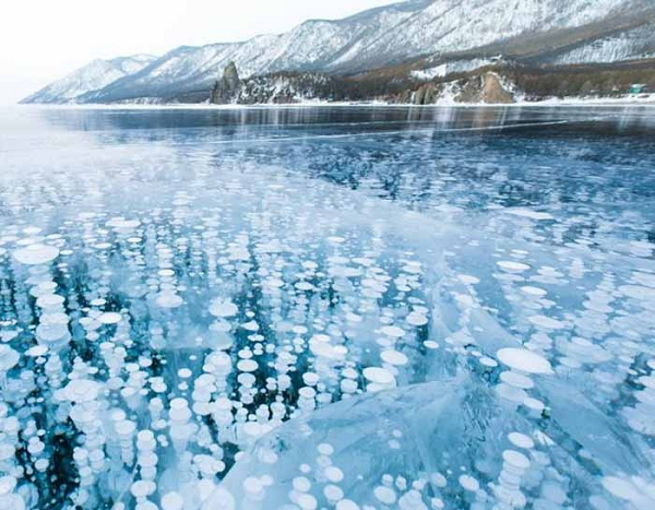 Ở vùng Bắc Cực của Nga, các chuyên gia ghi nhận các bệnh như viêm não do ve gây ra, bệnh brucellosis, bệnh sốt rét, bệnh leptospirosis, bệnh dại và bệnh than đang gia tăng trong gia súc gia cầm và động vật hoang dã. Nhiều bệnh nhiễm virus và vi khuẩn có thể lây lan sang người từ động vật bị nhiễm bệnh.