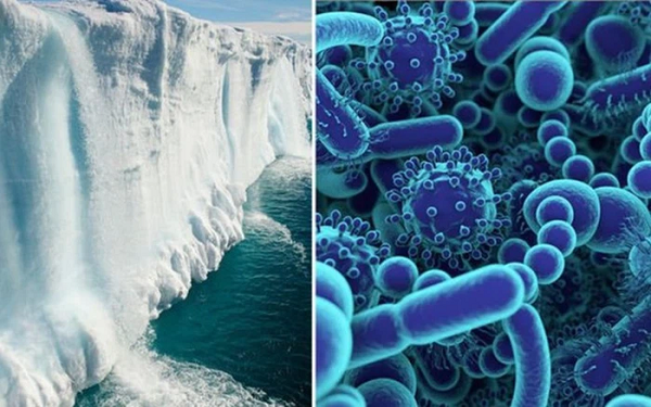 Hầu hết các lớp băng vĩnh cửu nằm ở vĩ độ cao (tức đất gần Bắc Cực và Nam Cực) có thể xảy ra trên các núi ở vĩ độ thấp hơn nhiều. Đất đóng băng vĩnh cửu là một tầng dày đông cứng, chiếm khoảng 1/4 diện tích Bắc Cực, lưu giữ lượng carbon nhiều gấp đôi lượng carbon trong không khí.