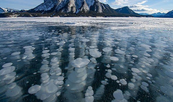 Theo các chuyên gia, quá trình này có thể làm hồi sinh những mầm bệnh chết chóc vốn đã vắng bóng hàng nghìn năm, bao gồm những vi khuẩn và virus chưa xác định có trong mô của các động vật hóa thạch được ướp xác và các bong bóng khí trong lớp băng.
