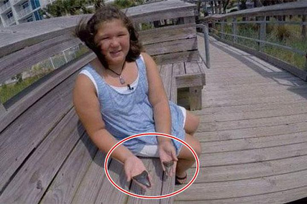 Cách đây 5 năm, cô bé 9 tuổi Christine Barrick đã nhặt được một viên đá có hình tam giác rất đặc biệt. Bố cô bé cho rằng đó chỉ là những viên đá bình thường nên không quan tâm.