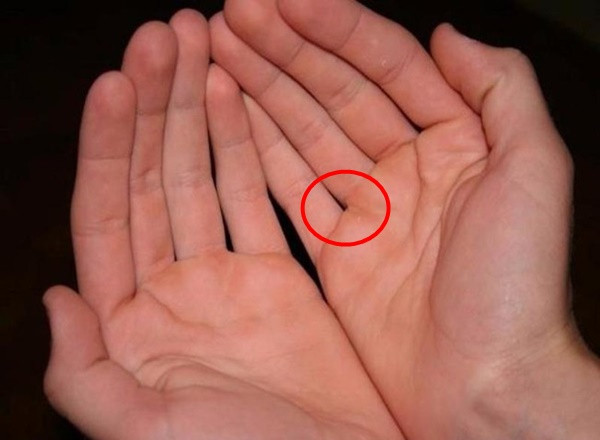 Lúc nào họ cũng trong tình trạng chi nhiều hơn thu, “đầu tháng ăn tiệm, cuối tháng ăn mì tôm”.