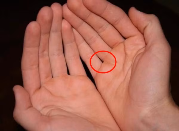 Lúc nào họ cũng trong tình trạng chi nhiều hơn thu, “đầu tháng ăn tiệm, cuối tháng ăn mì tôm”.