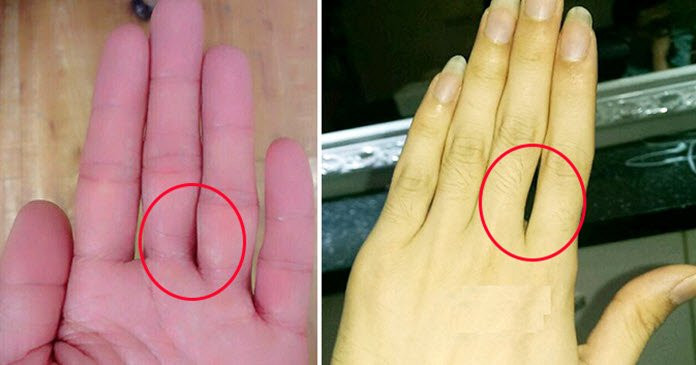 Mà ngược lại người này làm gì cũng cẩn trọng, suy nghĩ thấu đáo rồi mới đưa ra quyết định chuẩn xác, dẫn đến thành công. 