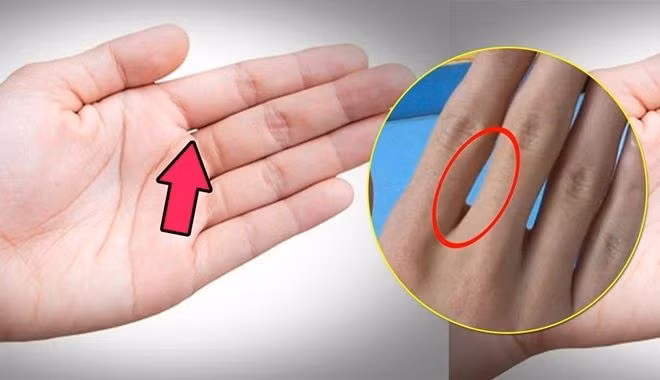 Khe hở ở ngón giữa và ngón đeo nhẫn. Người sở hữu khe hở ở ngón giữa và ngón đeo nhẫn thường có nhiều tham vọng, không thích ngồi yên một chỗ, thích đi đây đi đó. Con đường công danh, sự nghiệp sẽ rạng rỡ hơn nếu bạn đi làm xa nhà. 