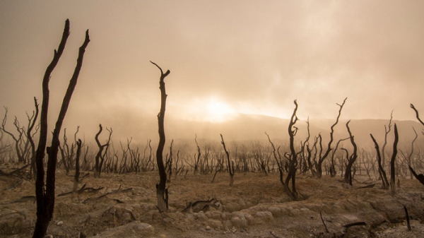 Một phần của Trái đất sẽ trở nên không phù hợp cho sự sống do quá nóng, một số loại cây trồng, bao gồm lúa mì và khoai tây, sẽ khan hiếm do thiếu đất màu để canh tác.