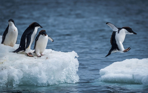 Năm 2020, các nhà khoa học đã tìm ra những dấu vết của phosphine trong các tầng khí bao quanh sao Kim - vốn có nhiều điểm tương tự với Trái đất.