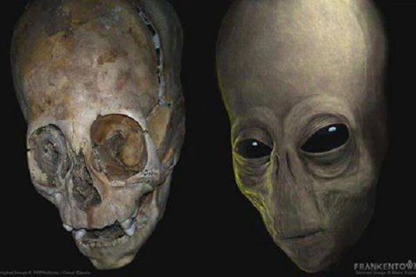 Chiều cao của hộp sọ khoảng 50 cm, nhưng chiều dài cơ thể tương đối ngắn. Tổng chiều dài của bộ hài cốt chỉ khoảng 100 cm, kích thước này không phù hợp với con người trên Trái đất.