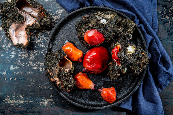 Tuy nhiên, vì Pyura Chilensis rất được ưa chuộng nhưng do sản lượng ít nên giá thành của nó rất cao.