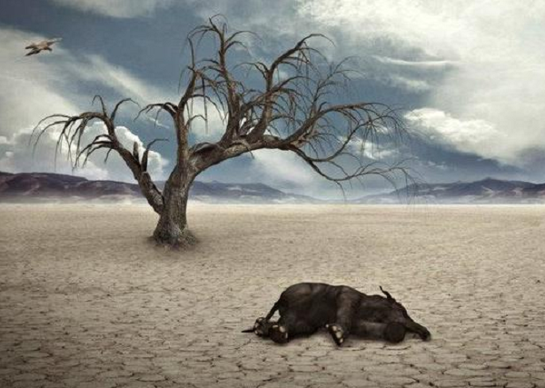 Dấu hiệu xấu xuất hiện trong cả Sự kiện tuyệt chủng xưa và Trái Đất ngày nay “là tín hiệu xấu cho những thay đổi của môi trường tương lai”. Có nhiều bằng chứng cho thấy khả năng chúng ta đang dần tiến tới một sự kiện tuyệt chủng nữa, lần này do con người gây ra.