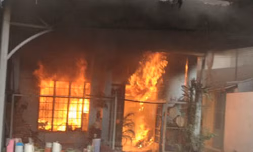 Khong trom duoc gi, “dao chich” dot nha gia chu