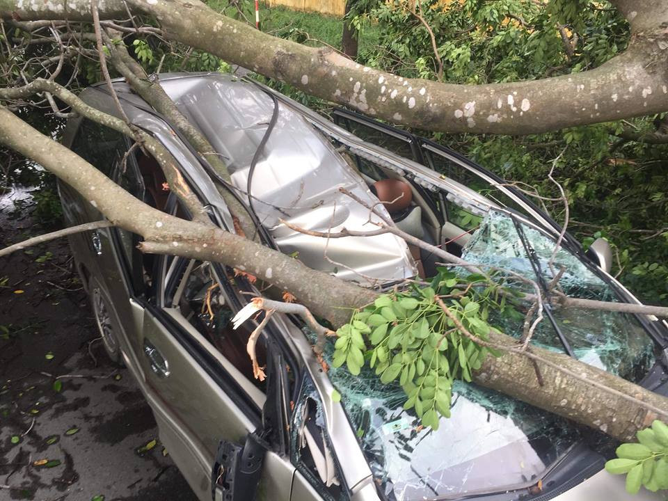 Hiện trường vụ việc.