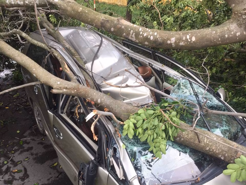 Hiện trường vụ việc.