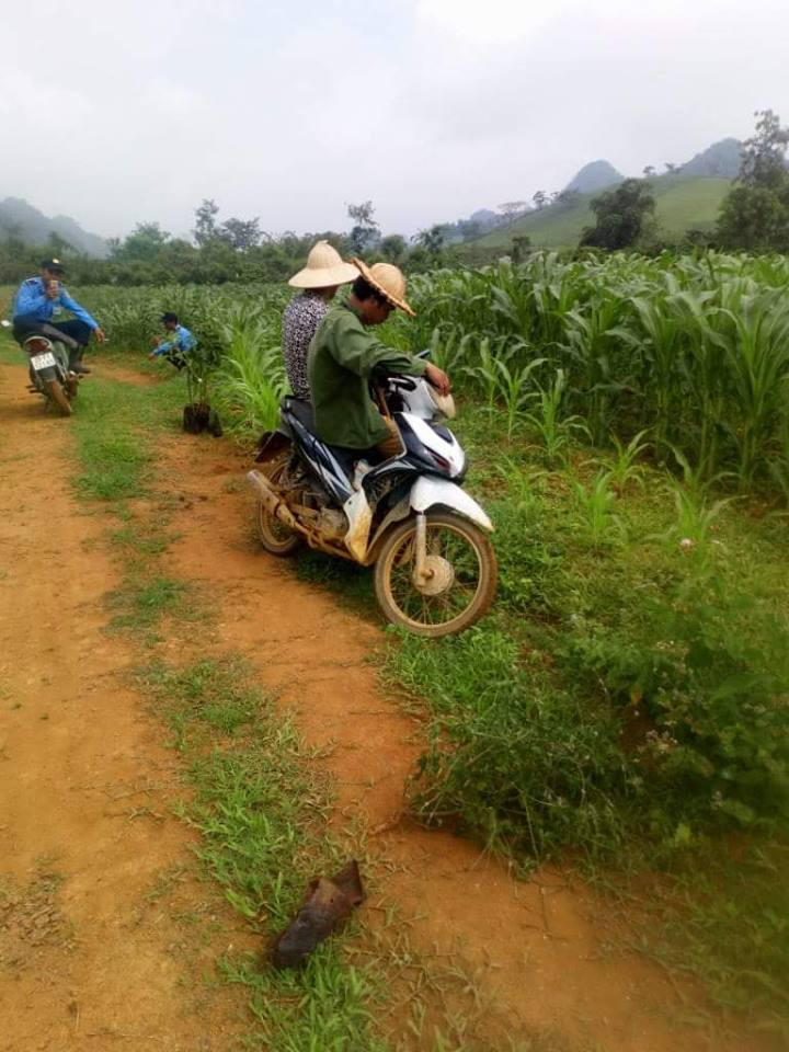 Cong ty ca phe Thai Hoa bi “to” nho cay cua dan: Chinh quyen noi gi?