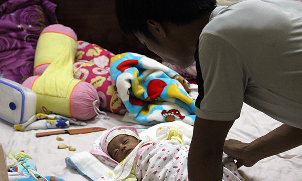 Nhoi long ong bo lan loi HN - Thanh Hoa xin sua nuoi con-Hinh-3